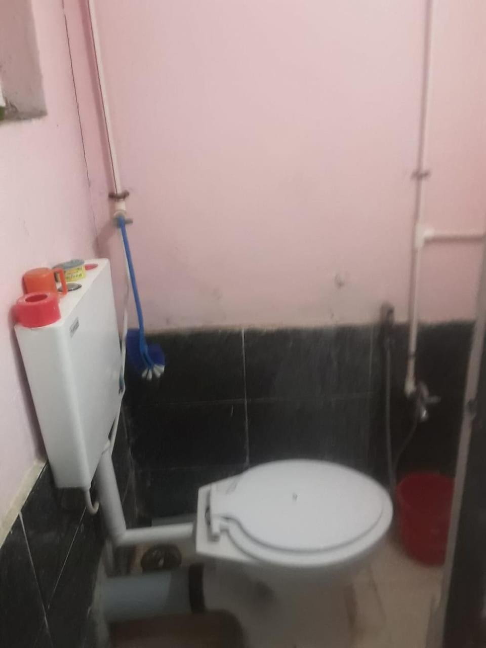 אליבג Savitri Cottage מראה חיצוני תמונה